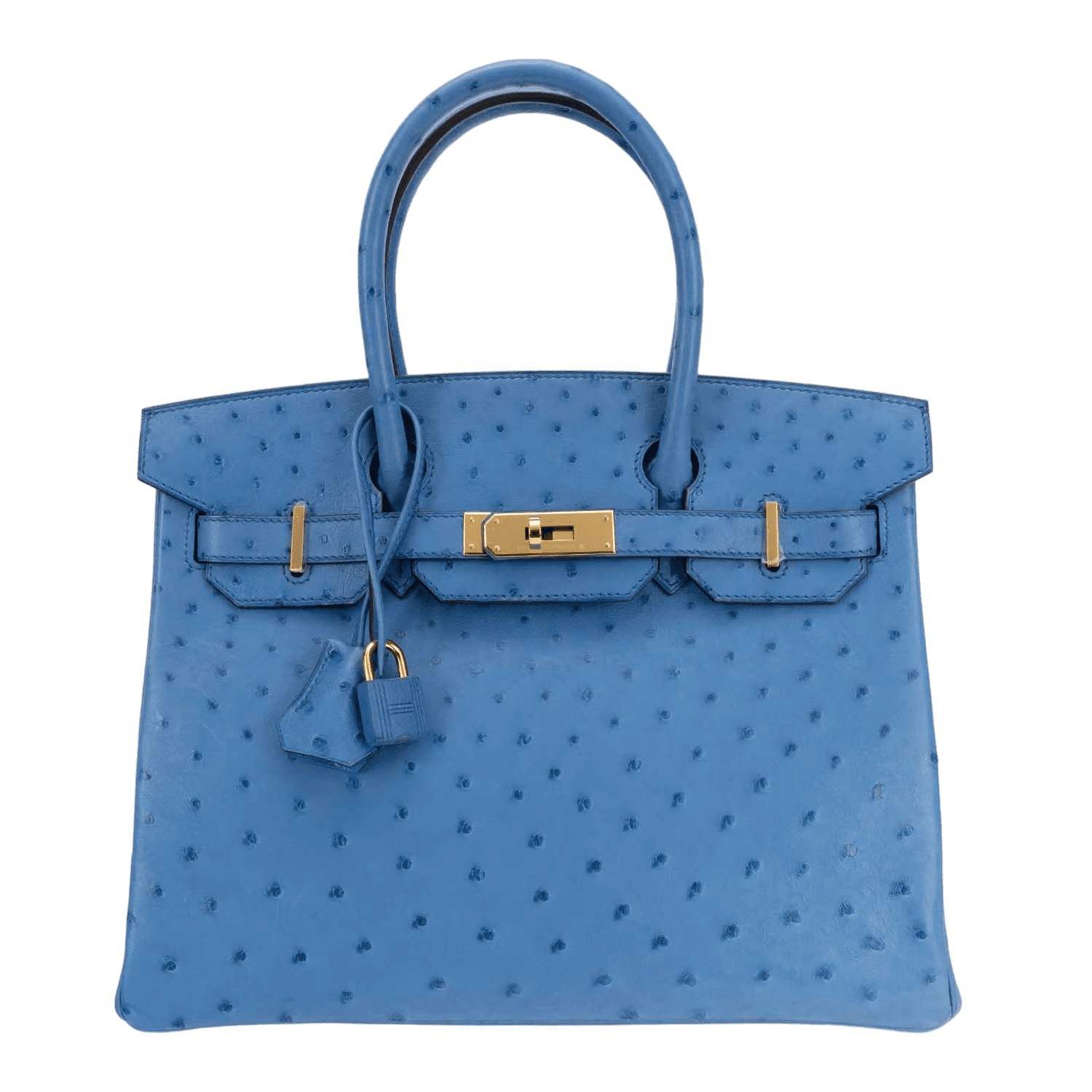 REFERENCE : B30/AUTRUCHE/MYKONOS/GHW